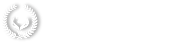 Адвокат Бордаченко та партнери Logo